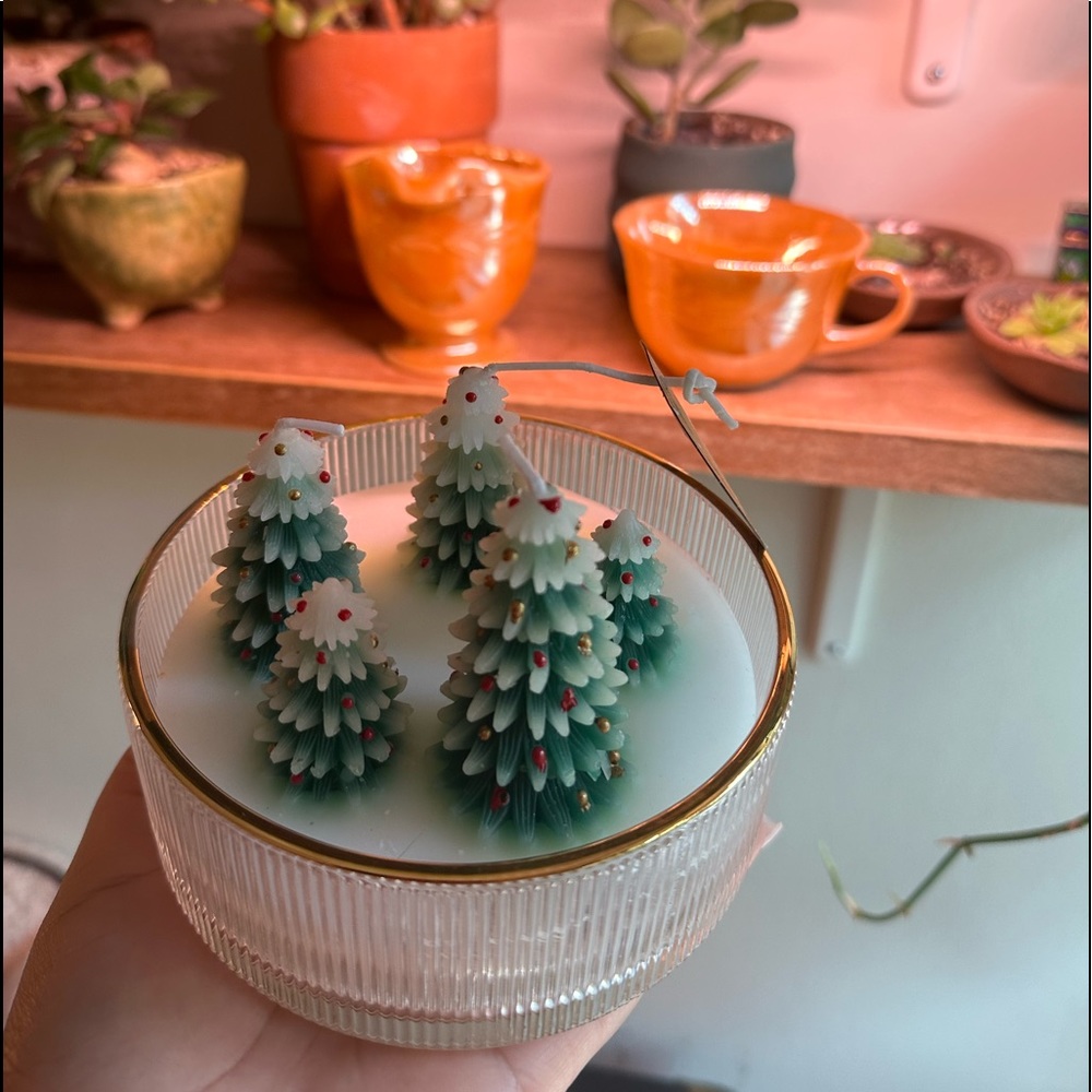 Viral Tj Max Aspen Tree Candle